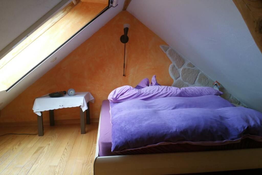 Ferienwohnung Roswitha In Blieskastel Biesingen Extérieur photo