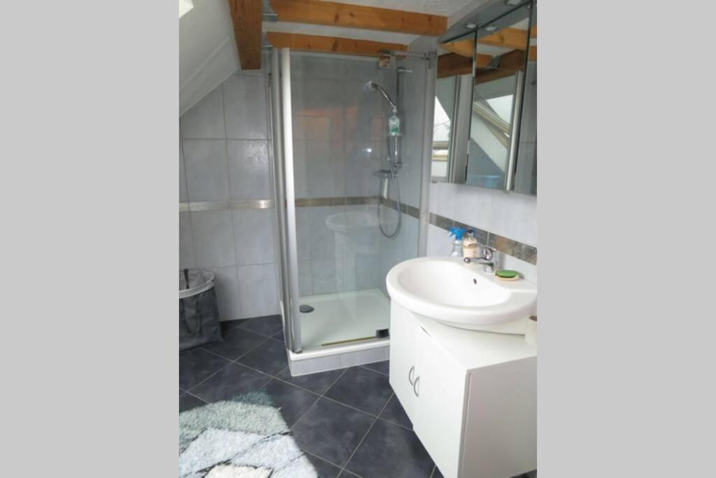 Ferienwohnung Roswitha In Blieskastel Biesingen Extérieur photo